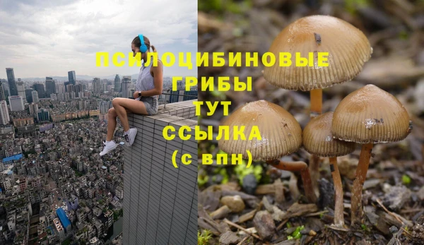MDMA Богородск