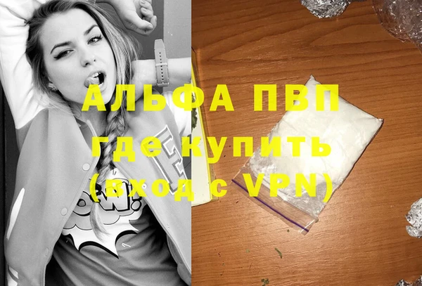 первитин Богданович