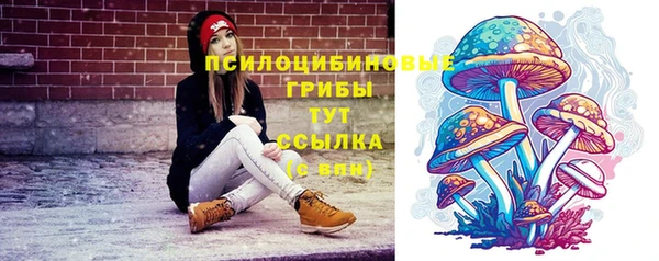 дурь Богородицк