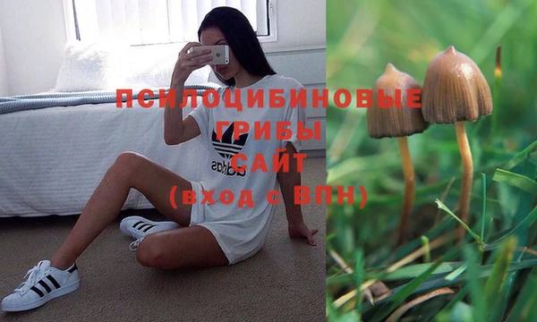 MDMA Богородск
