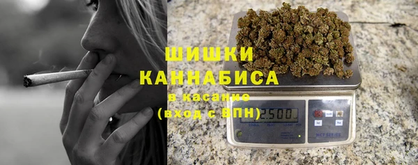 дурь Богородицк