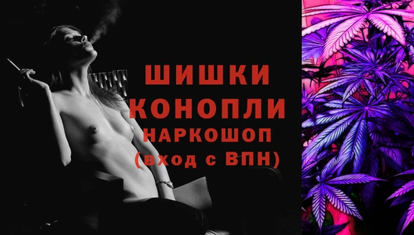 первитин Богданович