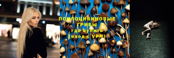 дурь Богородицк
